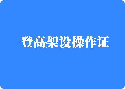 艹女人逼啊啊啊的视频网站登高架设操作证